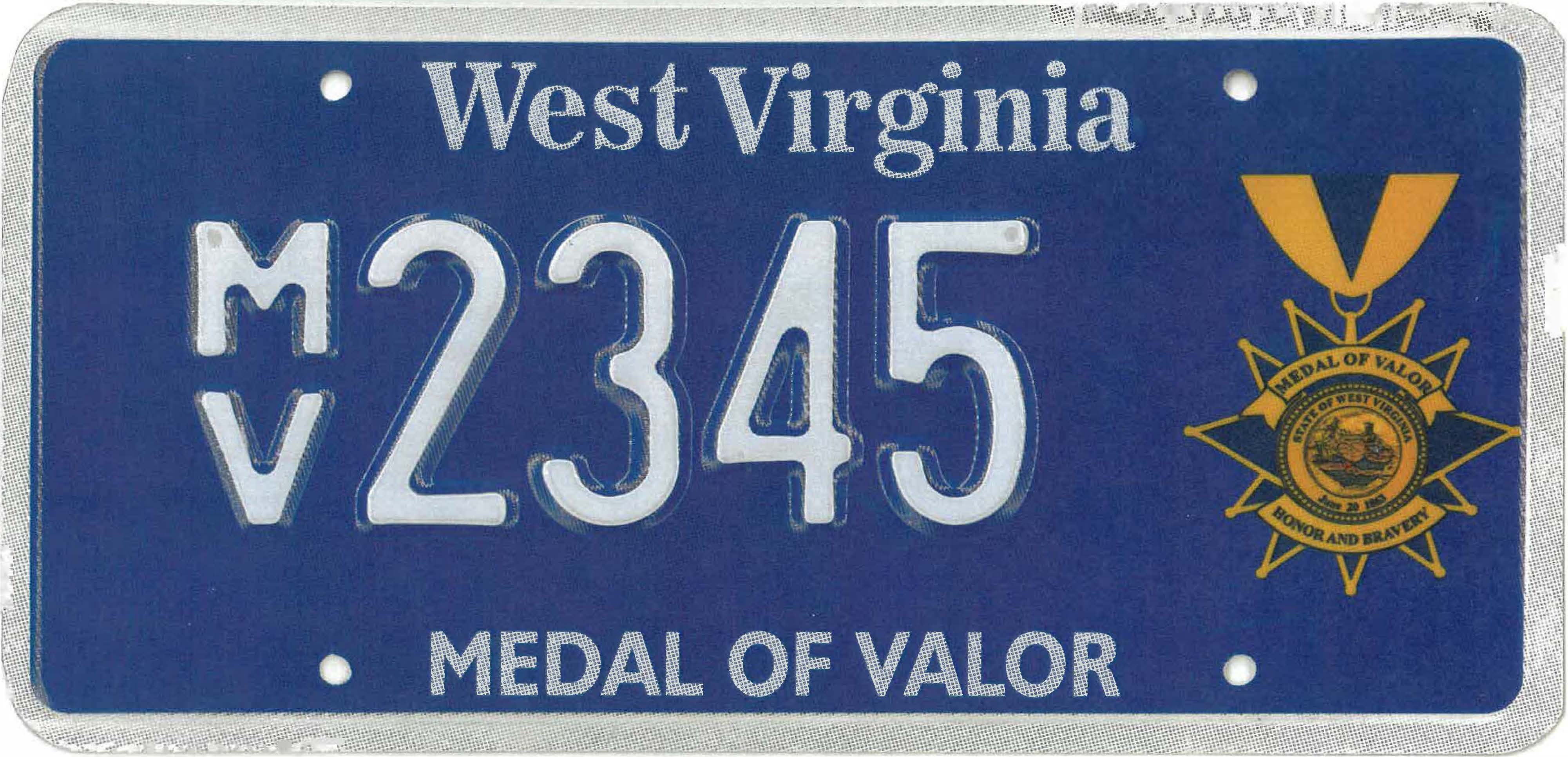 Distinguished Medal of Valor